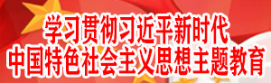 学习贯彻习近平新时代中国特色社会主义思想主题教育