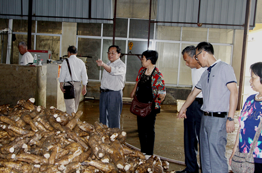 1465811693209005.png 藤县:老干部传经送宝 助力发展1.png