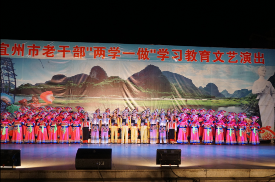 宜州市举行老干部“两学一做”学习教育文艺演出.png