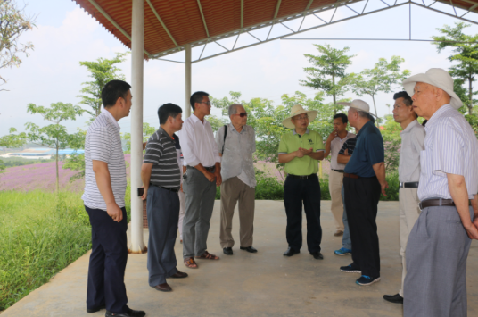 1465962189810890.png 来宾市离退休干部到忻城考察调研.png