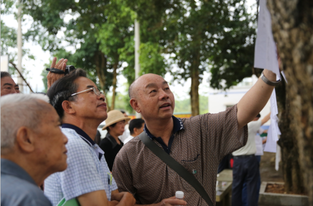 凭祥市举办2016年“歌上石 庆端午”采风诗会.png