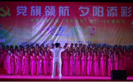 1477473260435998.png 天等县举办“党旗领航﹒夕阳添彩”文化活动暨重阳节文艺晚会.png